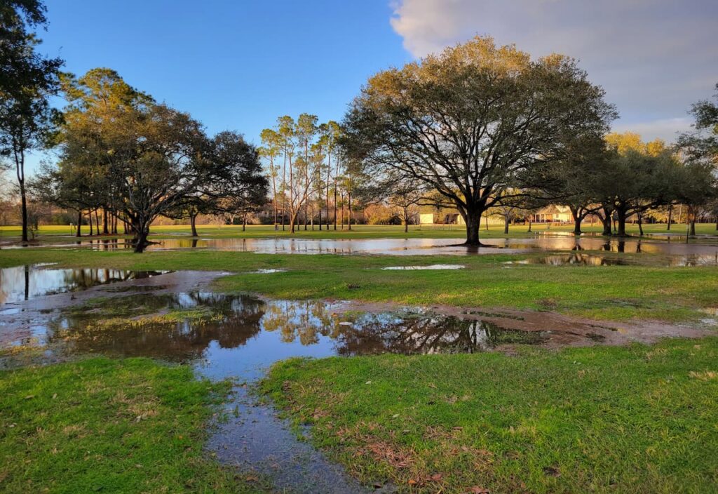 Picture-For-Centennial-Park-Pearland-Tx-By-Tisols Chiropractic