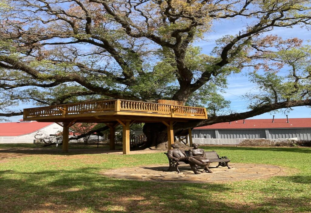 Image-For-Picturesque-View-George-Ranch-Historical-Park-By-Tisols Chiropractic
