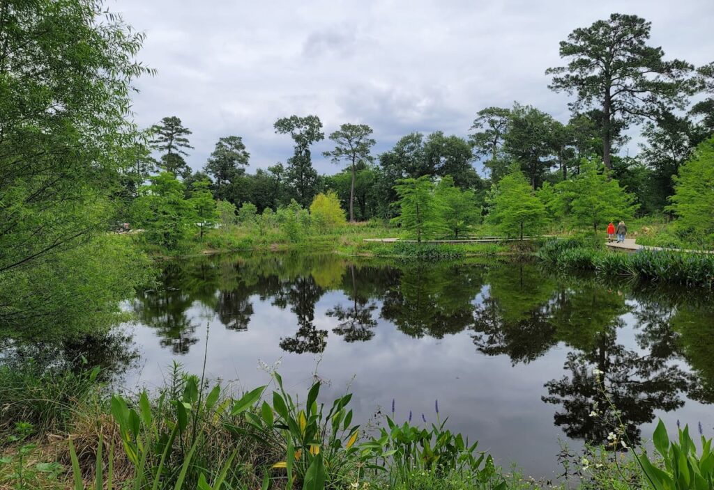 Thumbnail-For-Houston-Arboretum-Pond-By-Tisols Quiropractic