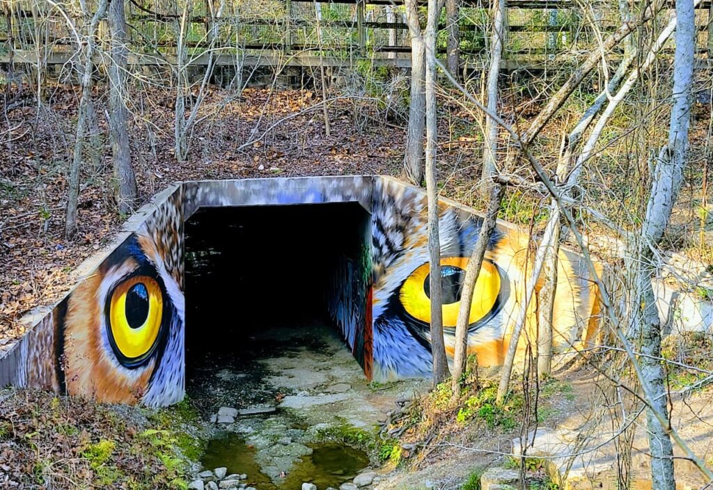 Thumbnail-For-Owl-Eyes-Houston-Arboretum-Graffiti-Art-By-Tisols Quiropractic